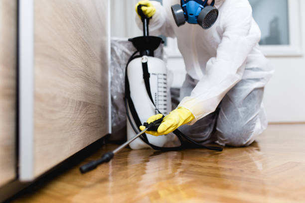 Best Exterminator Services  in Houma, LA