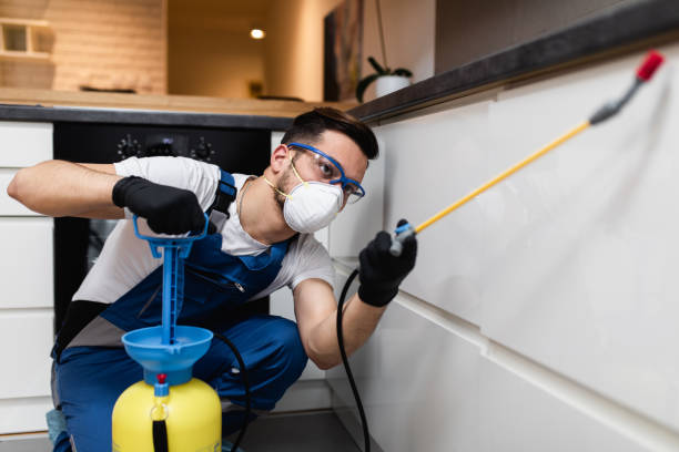 Best Pest Prevention Services  in Houma, LA
