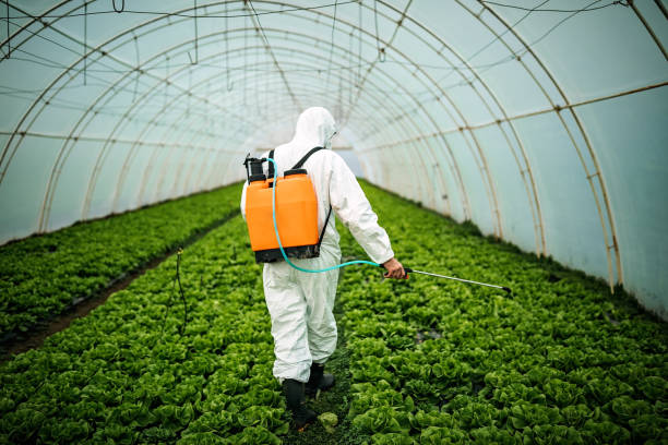 Best Local Pest Control Services  in Houma, LA