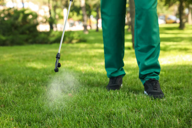 Best Spider Control Near Me  in Houma, LA