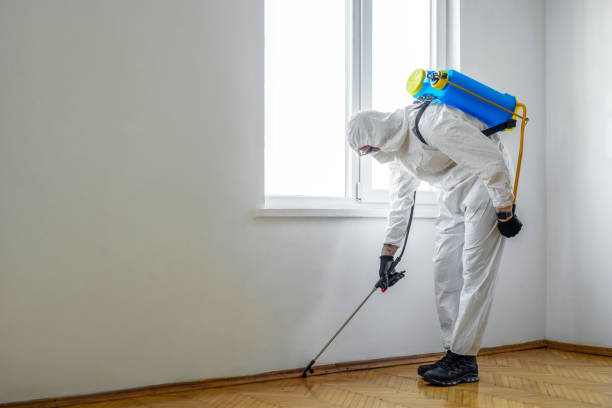 Best Termite Control Services  in Houma, LA