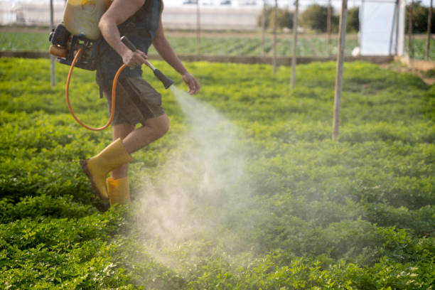 Best Commercial Pest Control Services  in Houma, LA