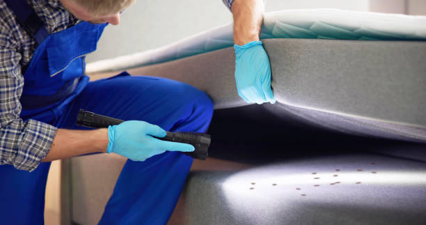 Trusted Houma, LA Pest Control Experts
