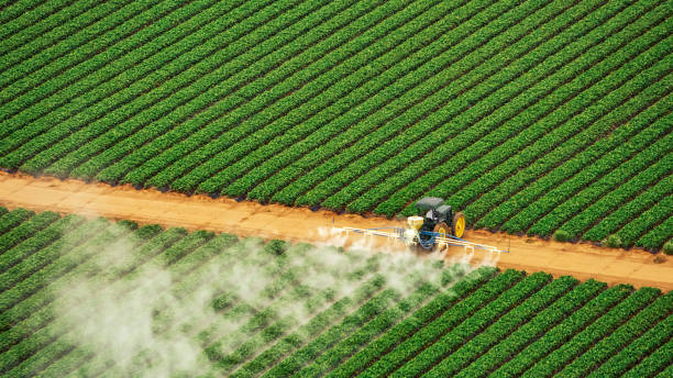 Best Best Pest Control Companies  in Houma, LA