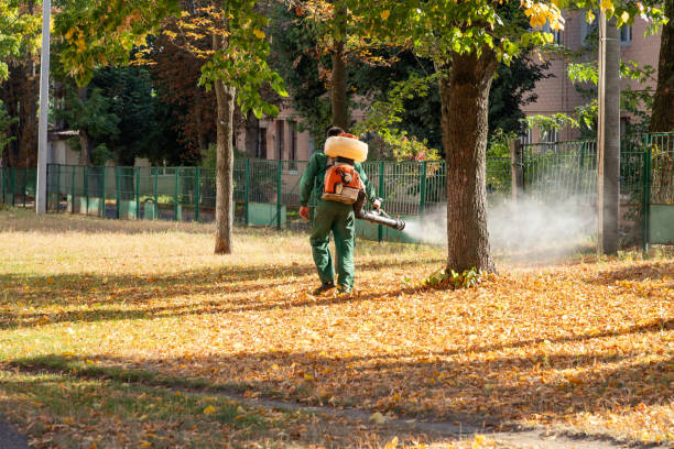 Best Pest Inspection Near Me  in Houma, LA