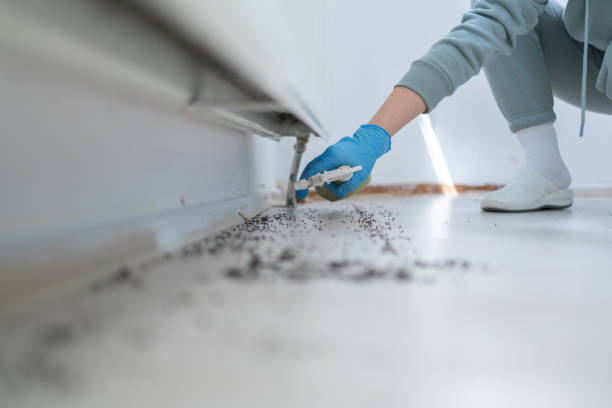 Insect Control in Houma, LA